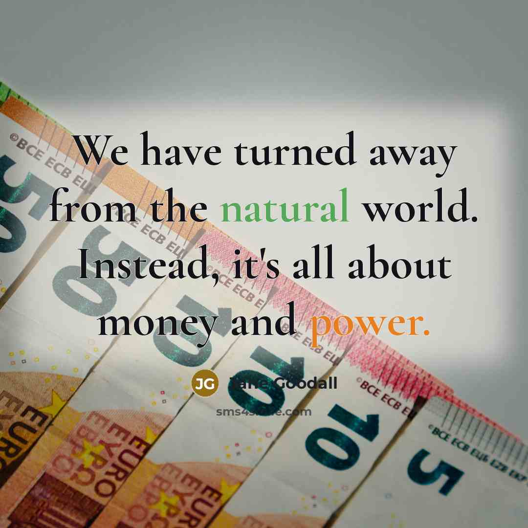 “We have turned away from the natural world. Instead, it's all about money and power.” quote by Jane Goodall
