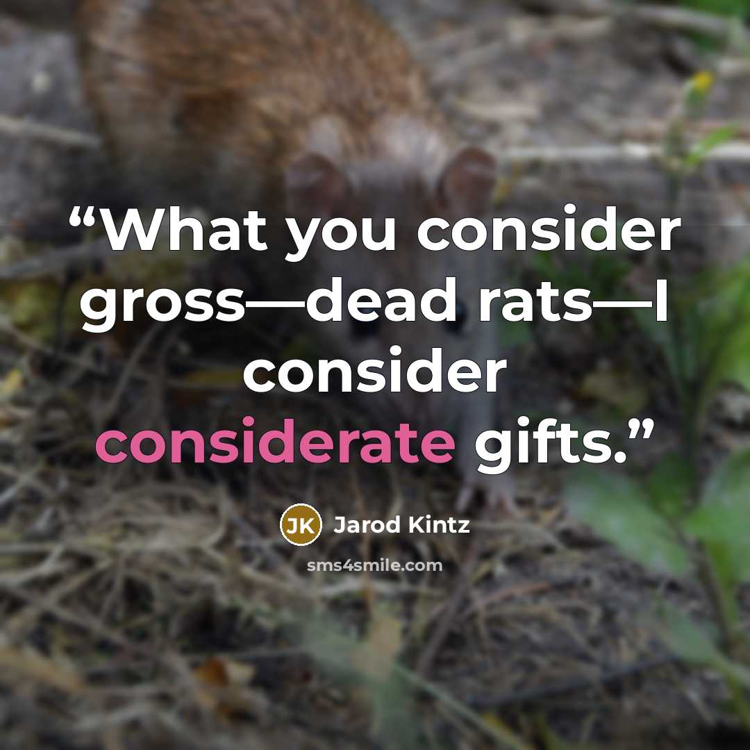 “What you consider gross—dead rats—I consider considerate gifts.” quote by Jarod Kintz