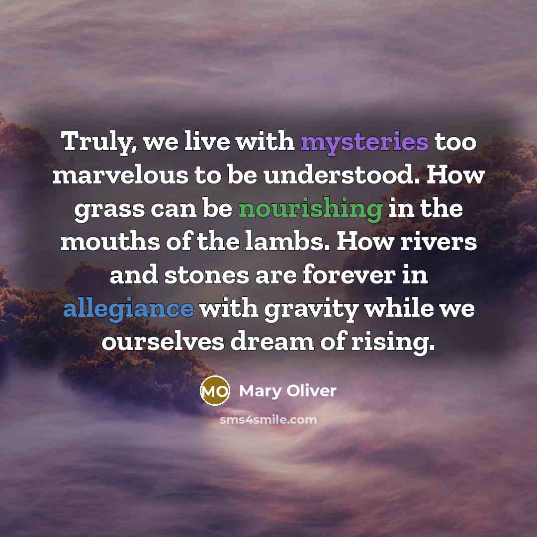 “Truly, we live with mysteries too marvelous to be understood.…” quote by Mary Oliver