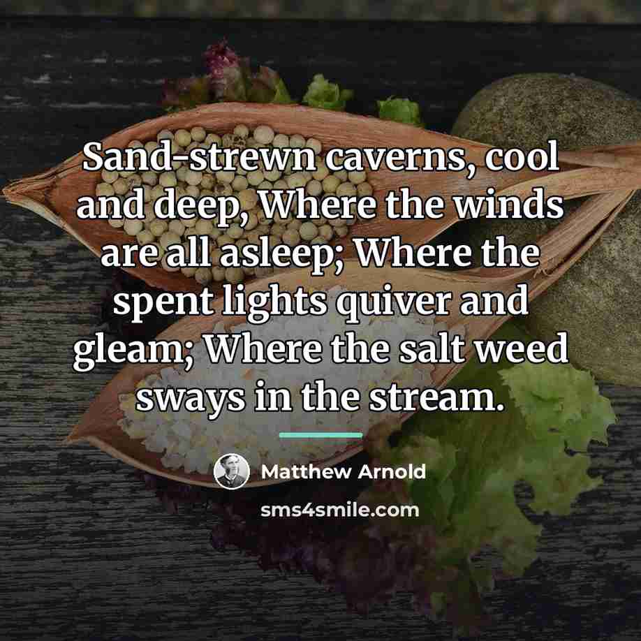 “Sand-strewn caverns, cool and deep, Where the winds are all…” quote by Matthew Arnold