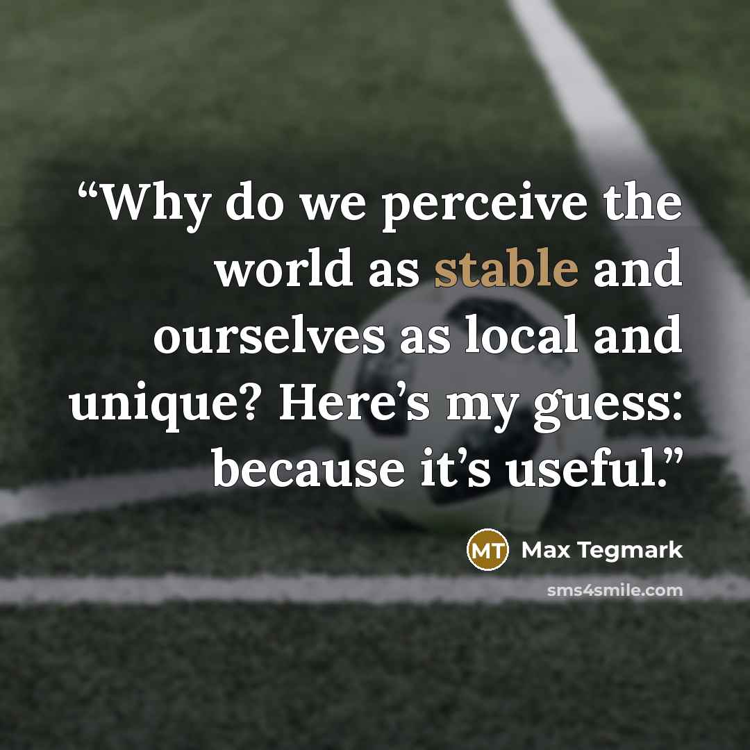 “Why do we perceive the world as stable and ourselves as local and unique? Here’s my guess: because it’s useful.” quote by Max Tegmark
