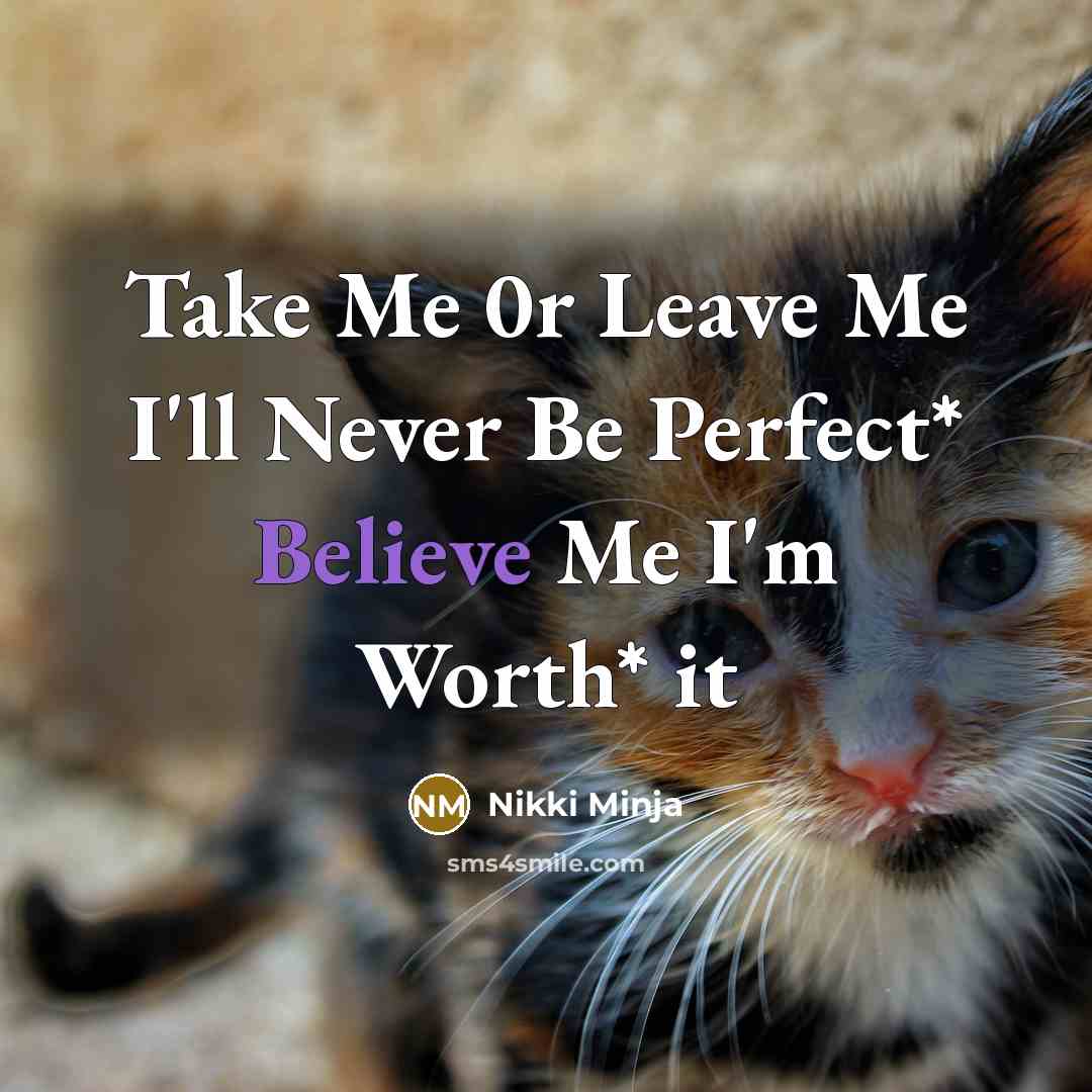 “Take Me 0r Leave Me I'll Never Be Perfect* Believe…” quote by Nikki Minja