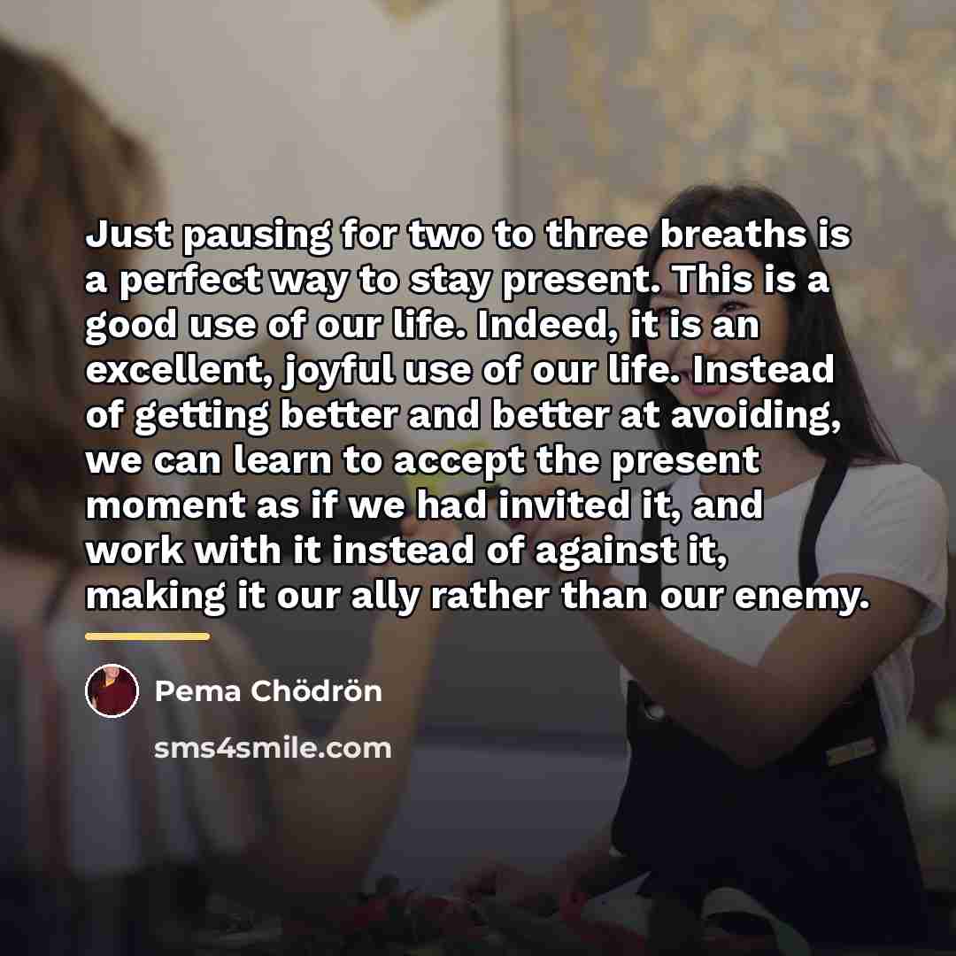 “Just pausing for two to three breaths is a perfect…” quote by Pema Chodron