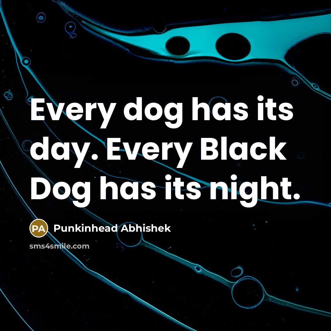 “Every dog has its day. Every Black Dog has its…” quote by Punkinhead Abhishek
