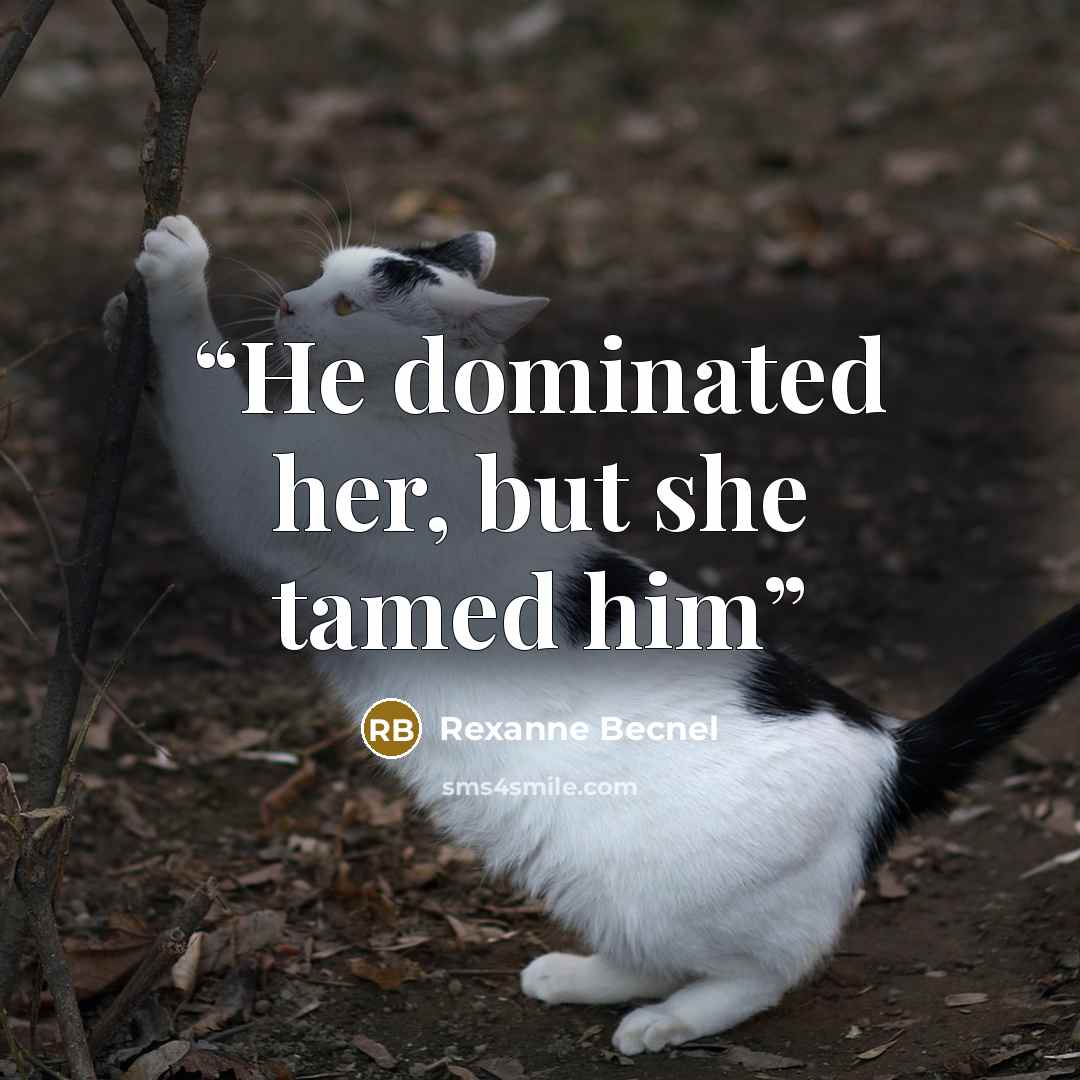 “He dominated her, but she tamed him” quote by Rexanne Becnel