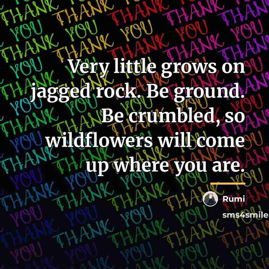 “Very little grows on jagged rock. Be ground. Be crumbled,…” quote by Rumi