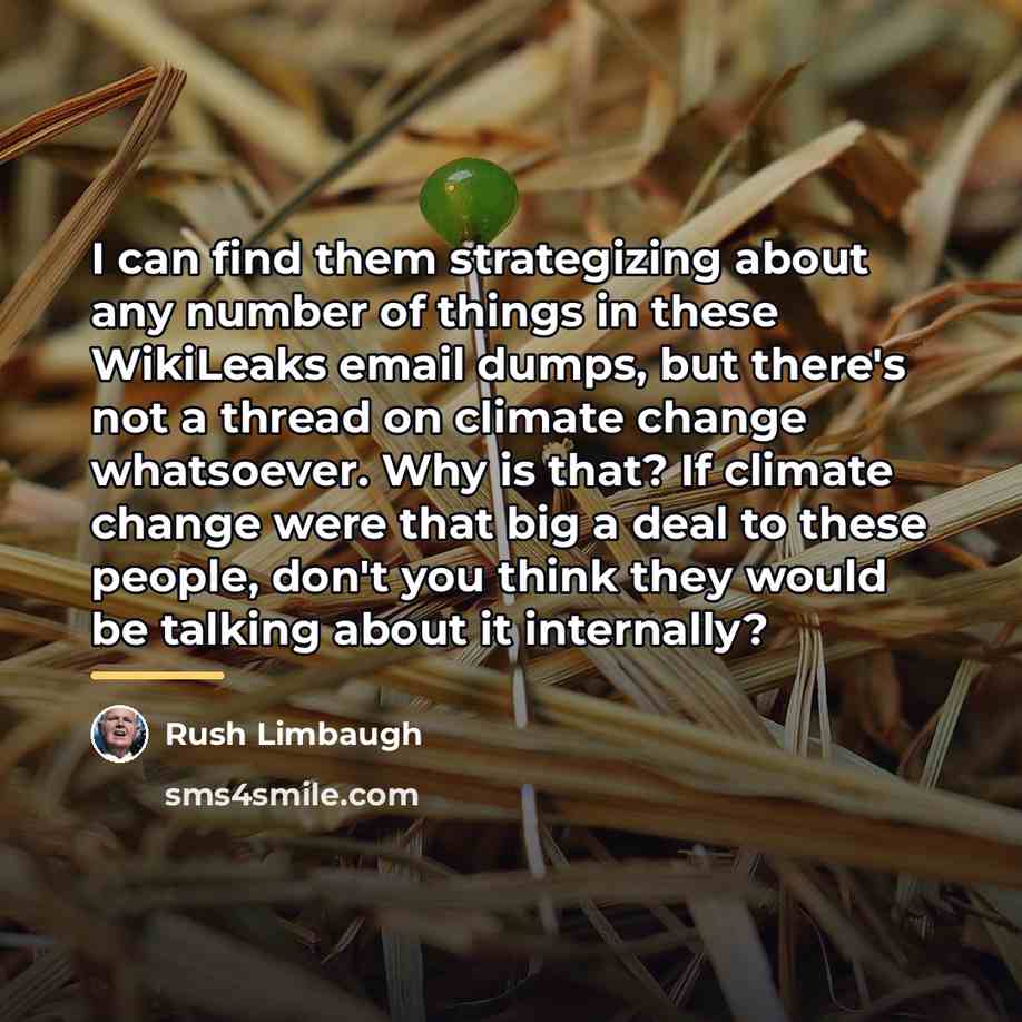 “I can find them strategizing about any number of things…” quote by Rush Limbaugh