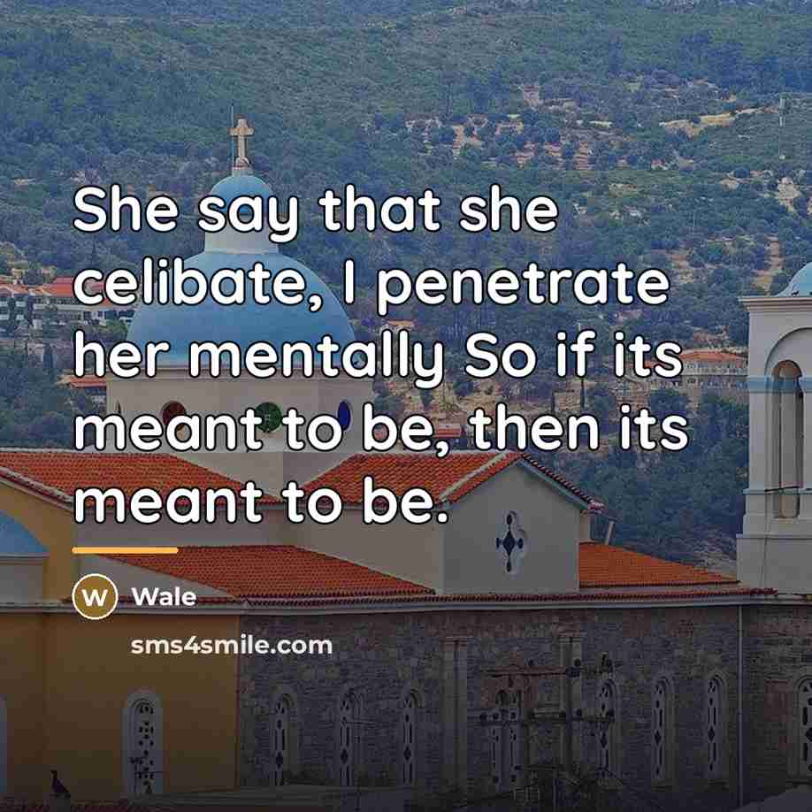 “She say that she celibate, I penetrate her mentally So…” quote by Wale