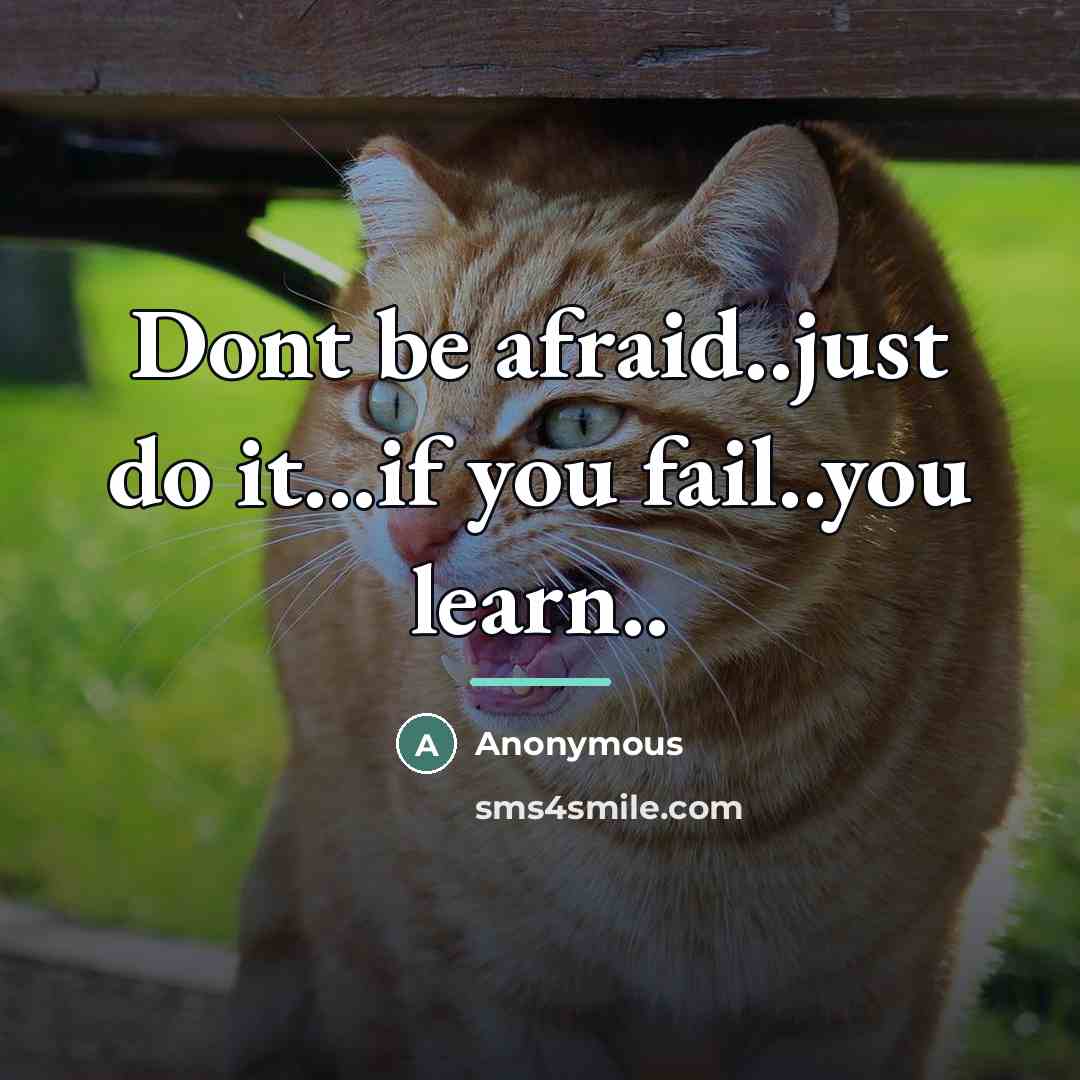 “Dont be afraid..just do it...if you fail..you learn..…” quote by Anonymous
