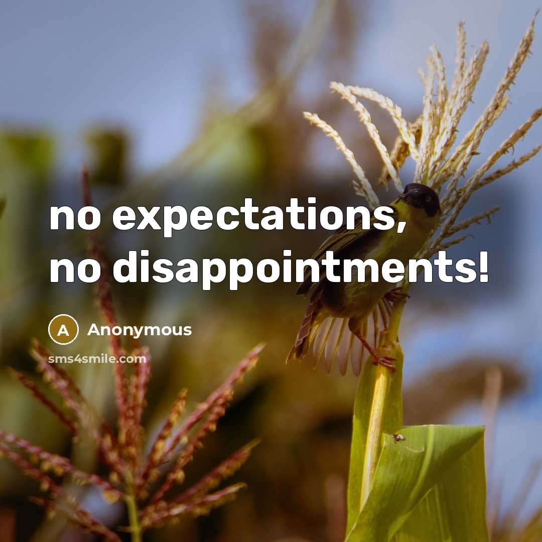 “no expectations, no disappointments!” quote by Anonymous