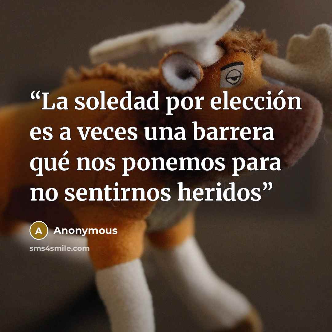 “La soledad por elección es a veces una barrera qué nos ponemos para no sentirnos heridos” quote by Anonymous