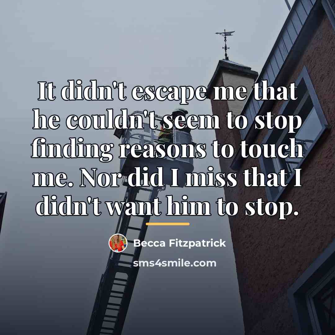 “It didn't escape me that he couldn't seem to stop…” quote by Becca Fitzpatrick