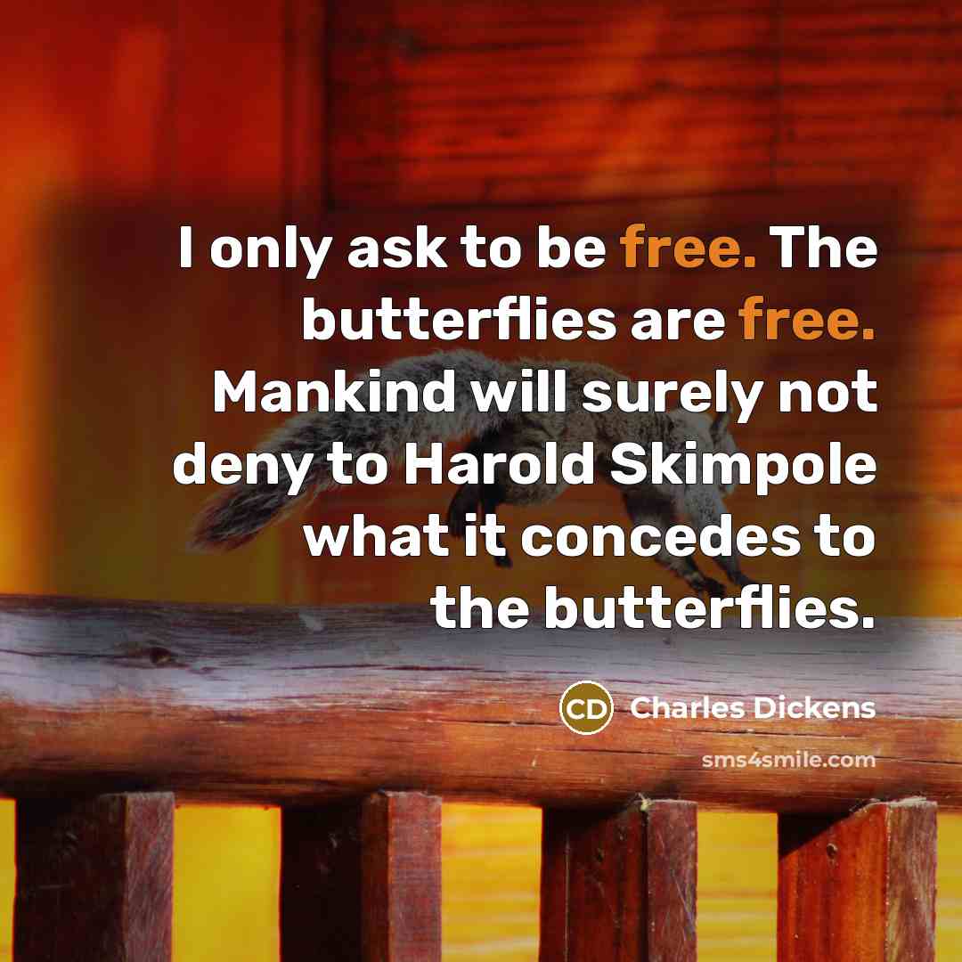 “I only ask to be free. The butterflies are free.…” quote by Charles Dickens