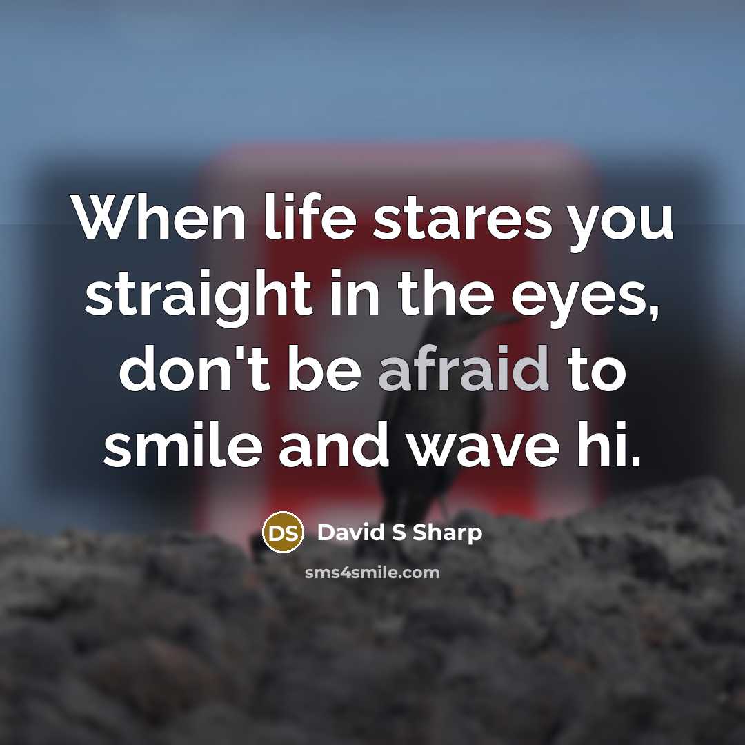 “When life stares you straight in the eyes, don't be…” quote by David S Sharp