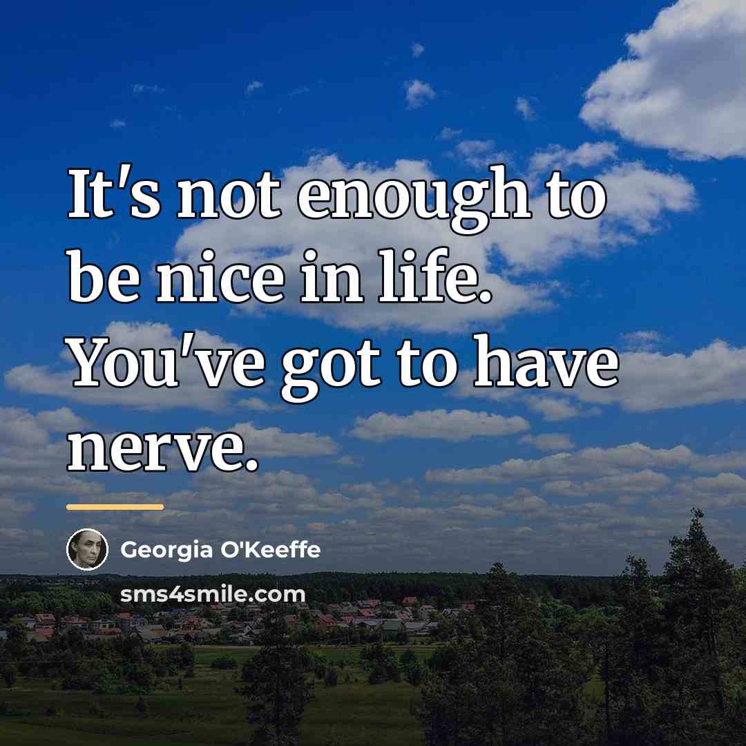 “It's not enough to be nice in life. You've got…” quote by Georgia O'Keeffe