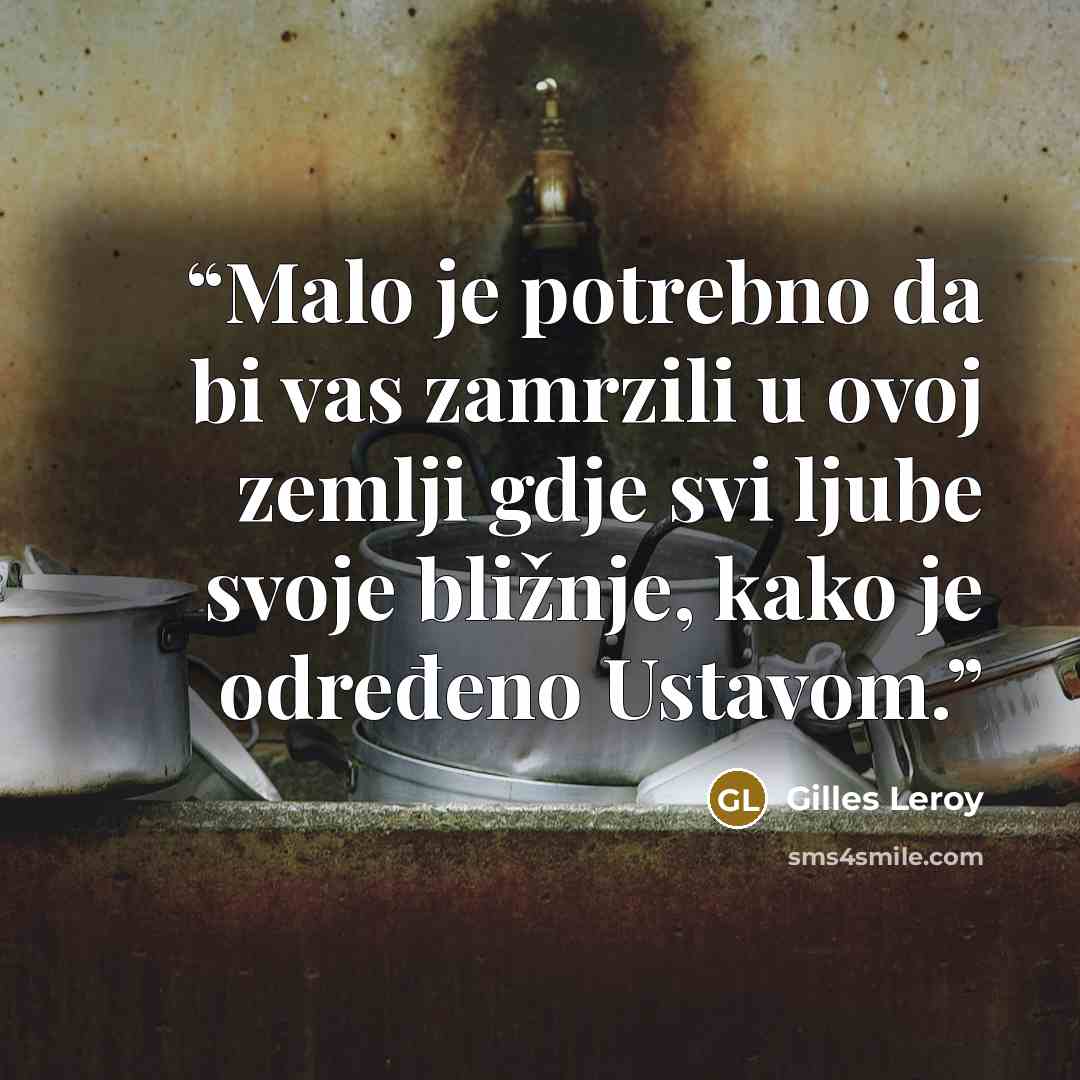 “Malo je potrebno da bi vas zamrzili u ovoj zemlji gdje svi ljube svoje bližnje, kako je određeno Ustavom.” quote by Gilles Leroy