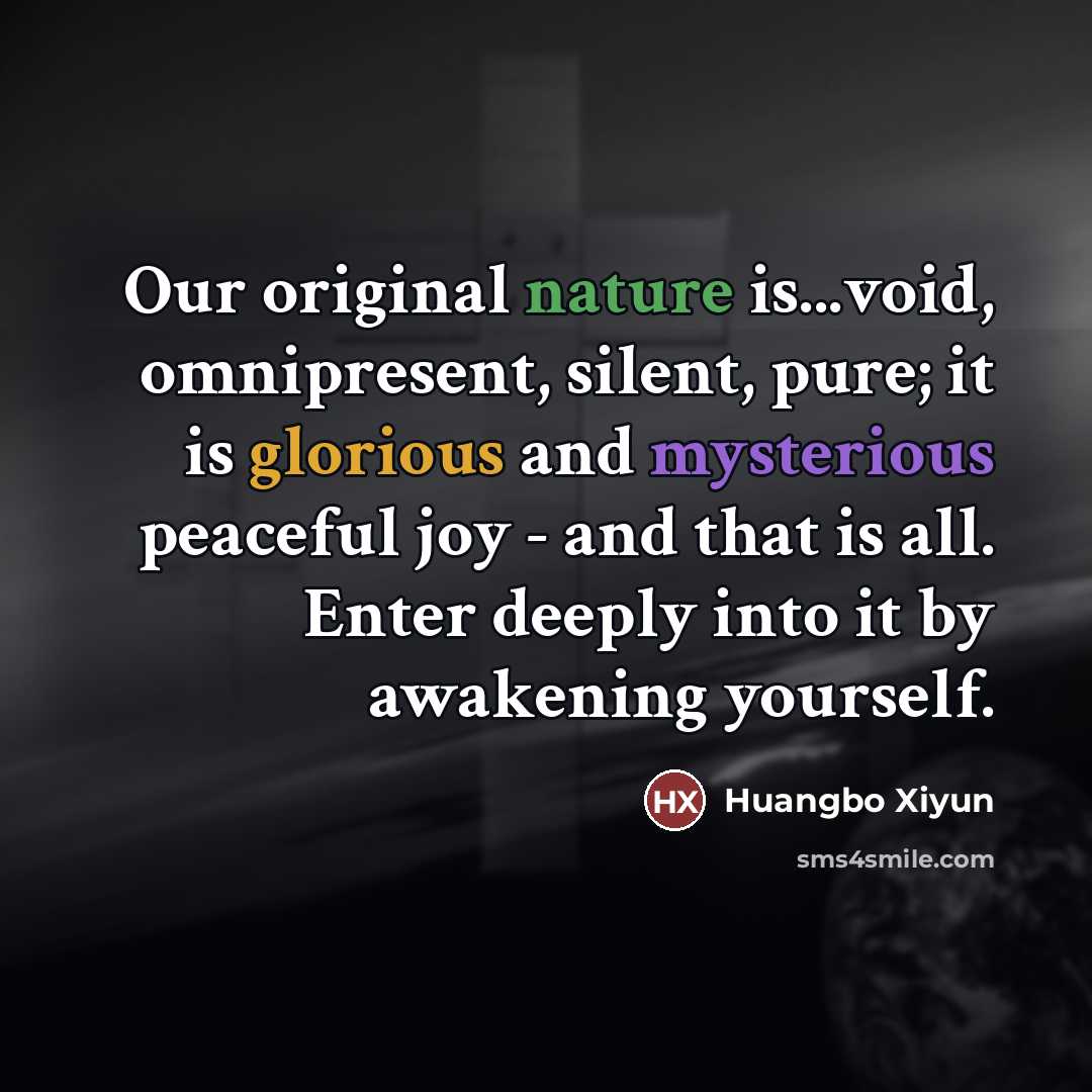 “Our original nature is...void, omnipresent, silent, pure; it is glorious…” quote by Huangbo Xiyun
