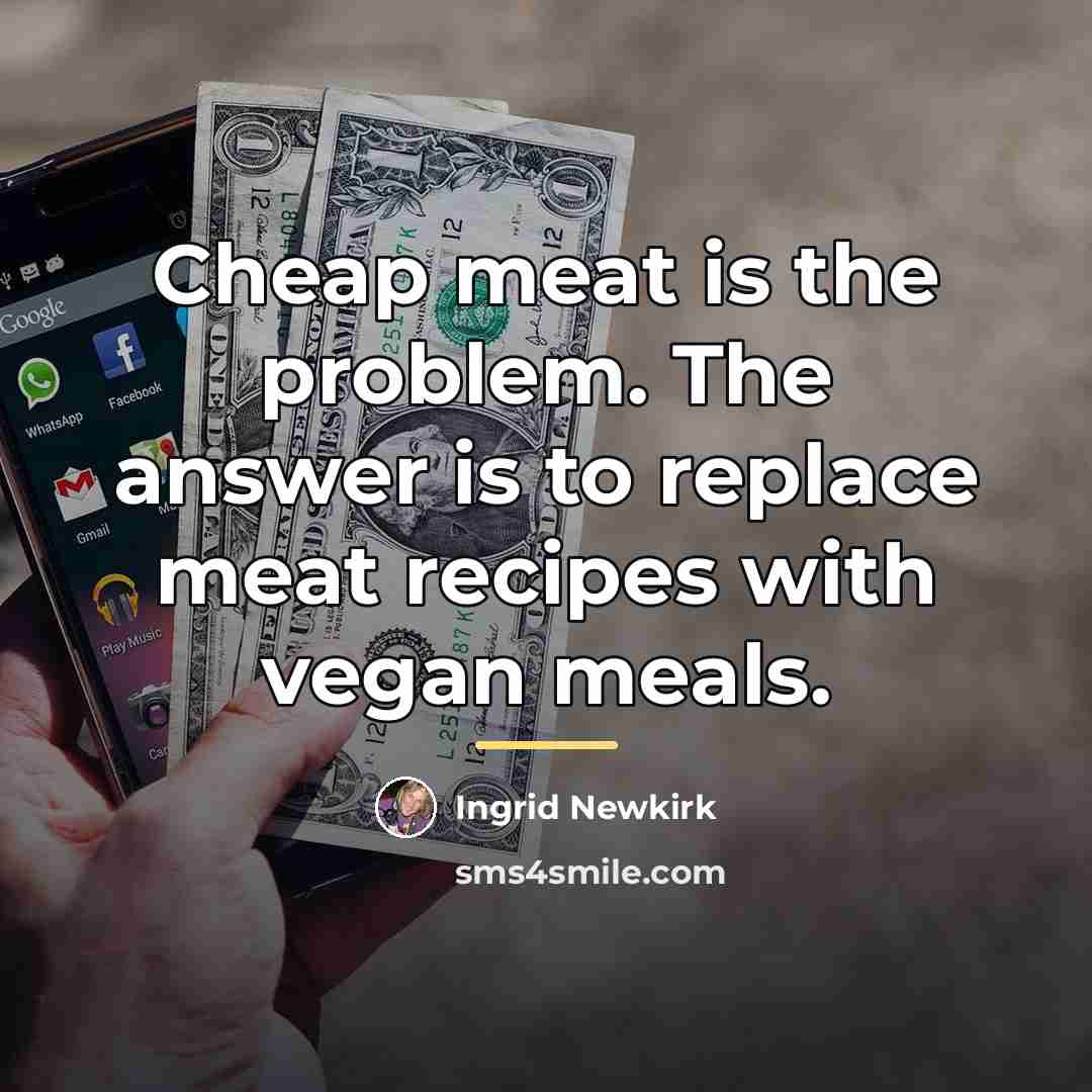 “Cheap meat is the problem. The answer is to replace…” quote by Ingrid Newkirk