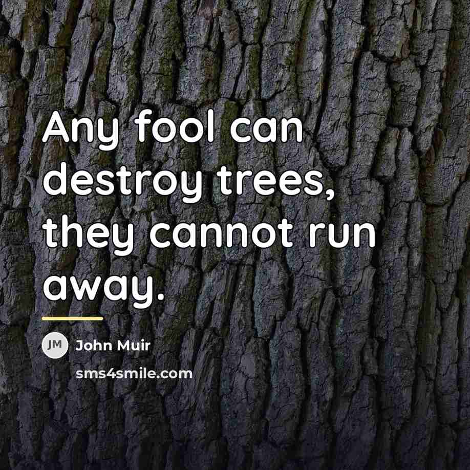 “Any fool can destroy trees, they cannot run away.…” quote by John Muir
