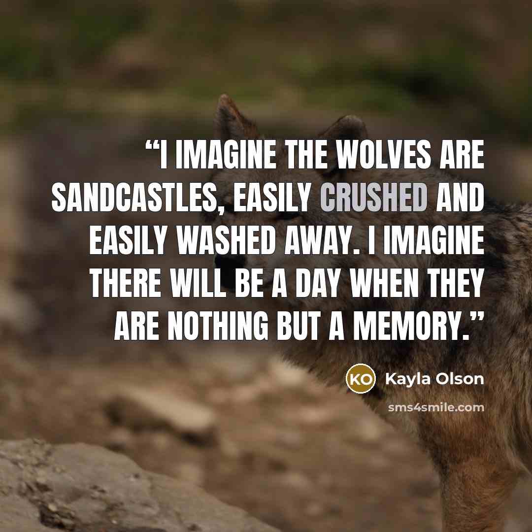 “I imagine the Wolves are sandcastles, easily crushed and easily washed away. I imagine there will be a day when they are nothing but a memory.” quote by Kayla Olson