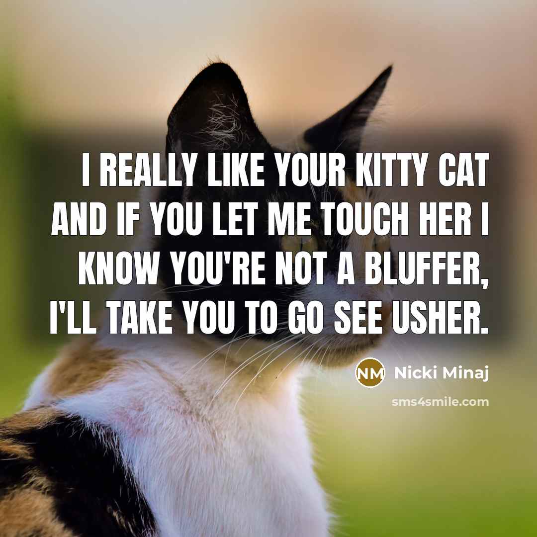 “I really like your kitty cat and if you let me touch her I know you're not a bluffer, I'll take you to go see Usher.” quote by Nicki Minaj