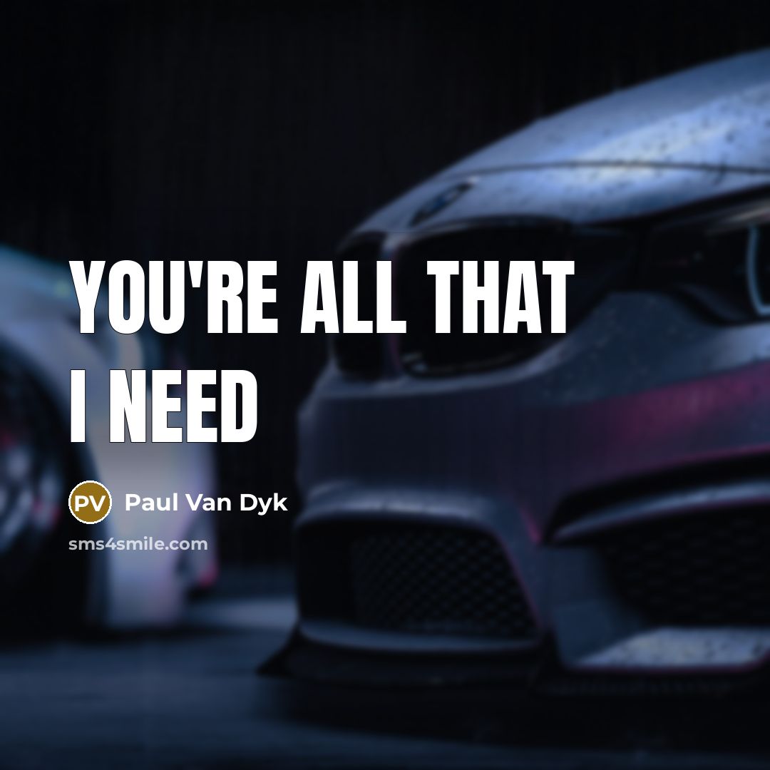 “You're all that I need…” quote by Paul Van Dyk