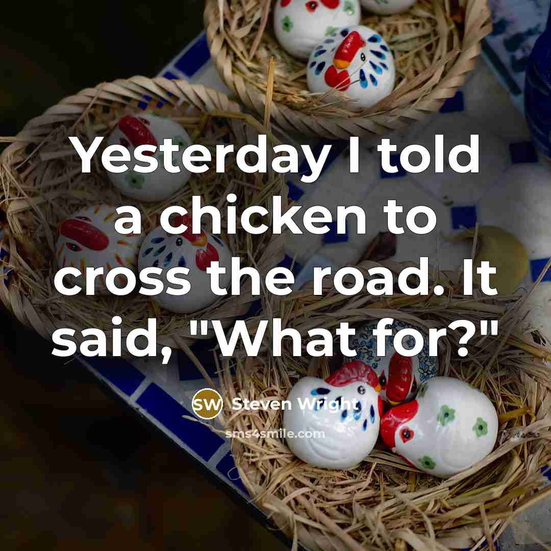“Yesterday I told a chicken to cross the road. It…” quote by Steven Wright