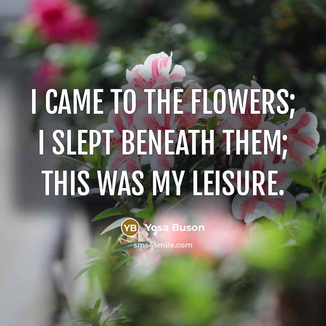“I came to the flowers; I slept beneath them; this…” quote by Yosa Buson