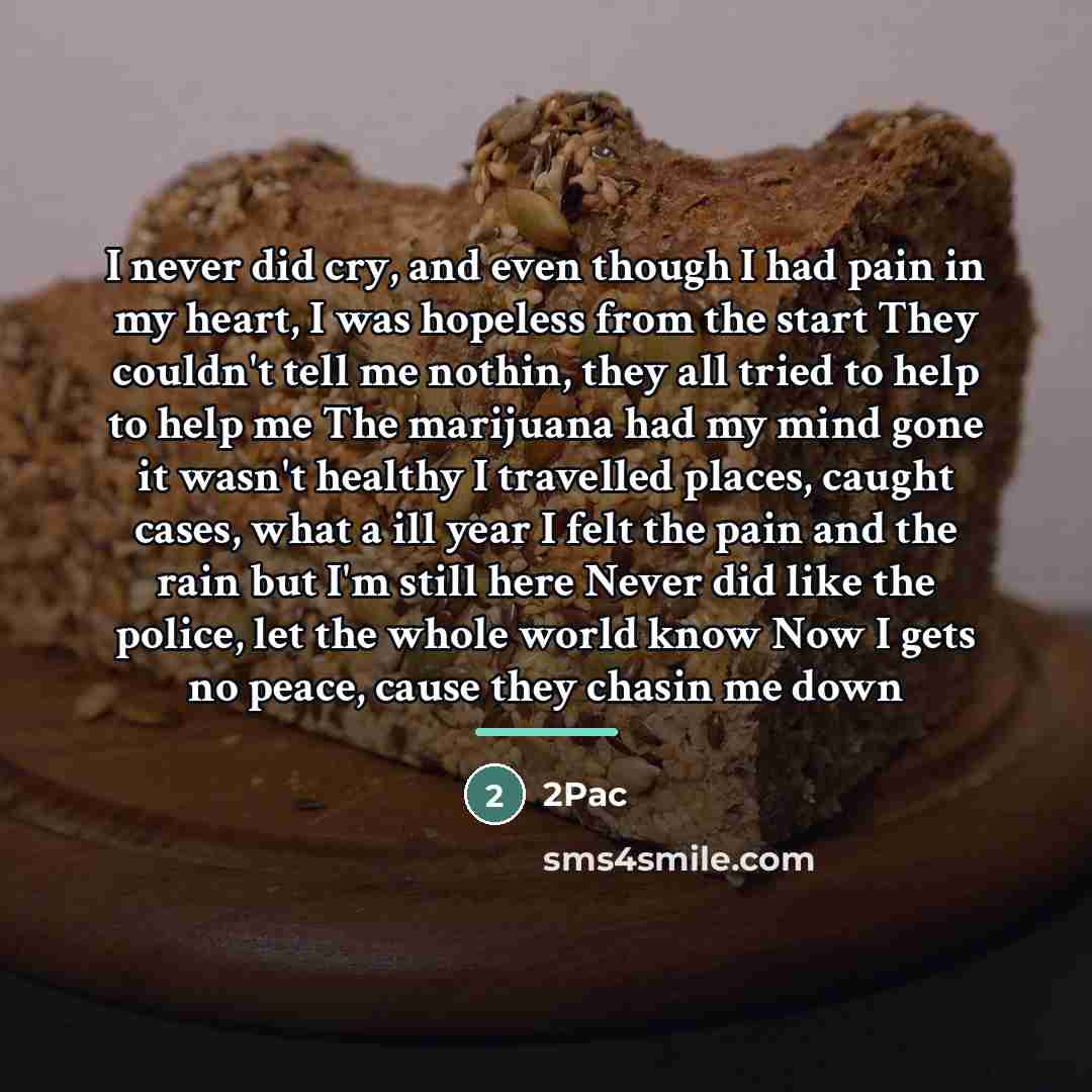 “I never did cry, and even though I had pain…” quote by 2pac