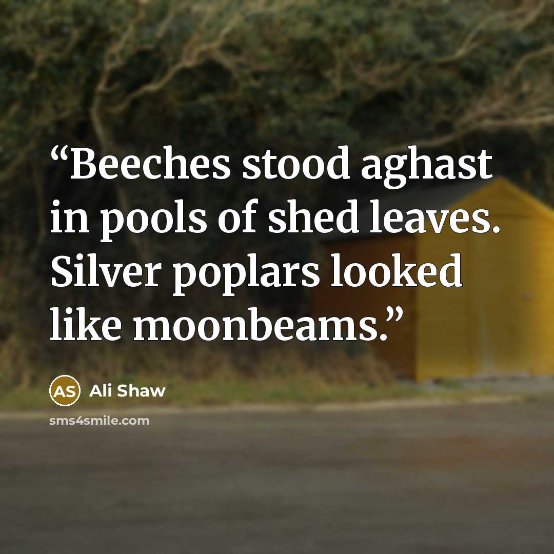 “Beeches stood aghast in pools of shed leaves. Silver poplars looked like moonbeams.” quote by Ali Shaw