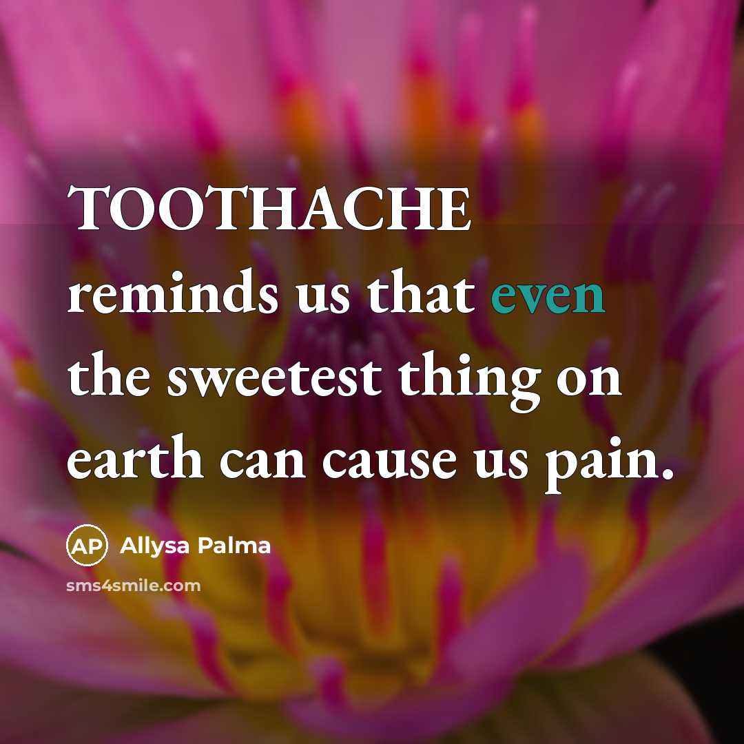 “TOOTHACHE reminds us that even the sweetest thing on earth…” quote by Allysa Palma