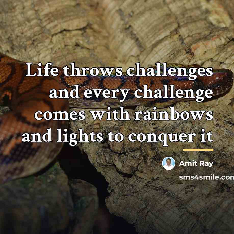 “Life throws challenges and every challenge comes with rainbows and…” quote by Amit Ray
