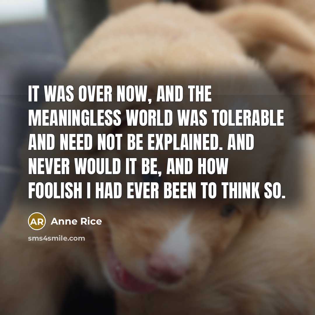 “It was over now, and the meaningless world was tolerable…” quote by Anne Rice