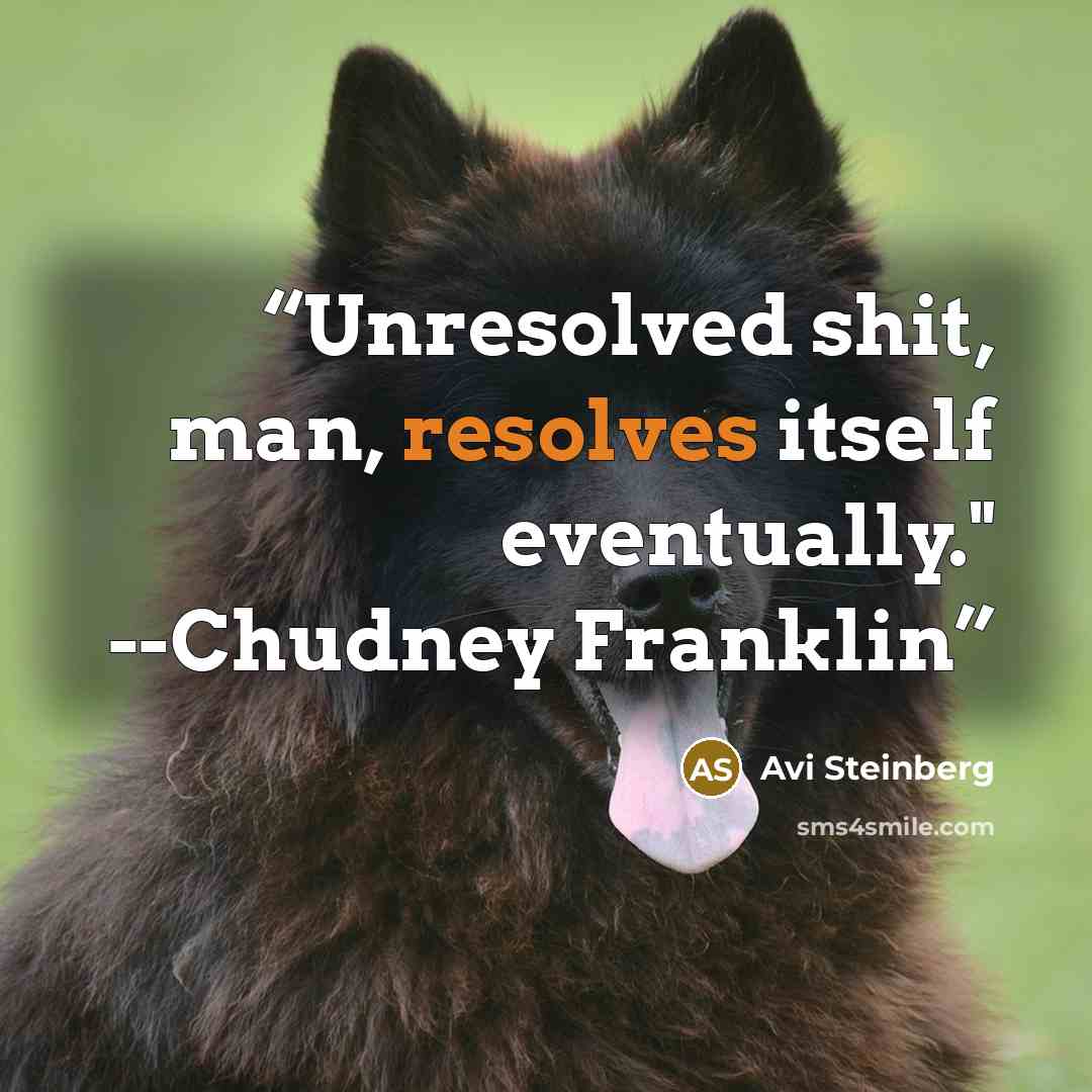 “Unresolved shit, man, resolves itself eventually." --Chudney Franklin” quote by Avi Steinberg