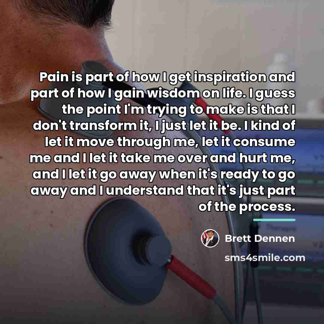 “Pain is part of how I get inspiration and part…” quote by Brett Dennen