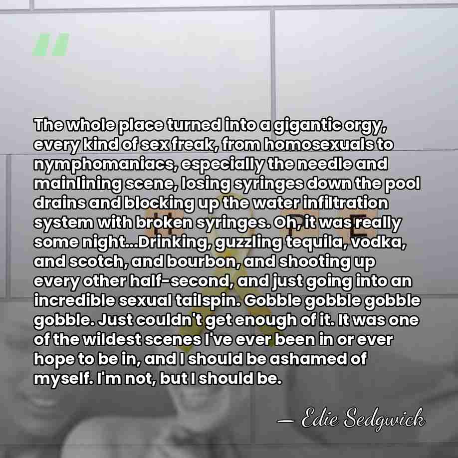 The whole place turned into a gigantic orgy, every kind of sex&hellip; - Edie Sedgwick