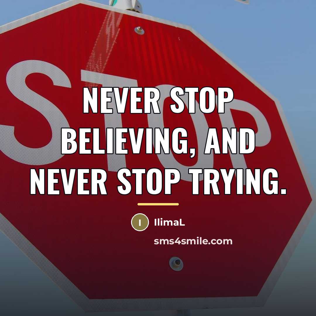 “Never stop believing, and Never stop trying.…” quote by IlimaL