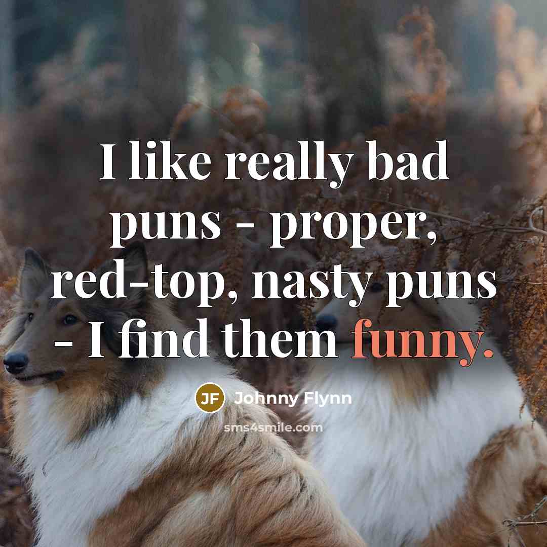 “I like really bad puns - proper, red-top, nasty puns…” quote by Johnny Flynn