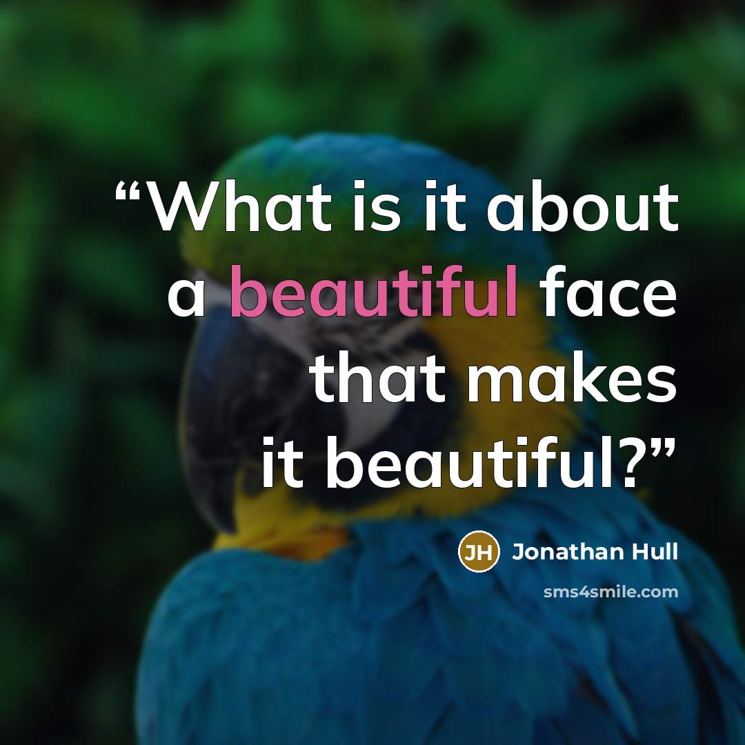 “What is it about a beautiful face that makes it beautiful?” quote by Jonathan Hull