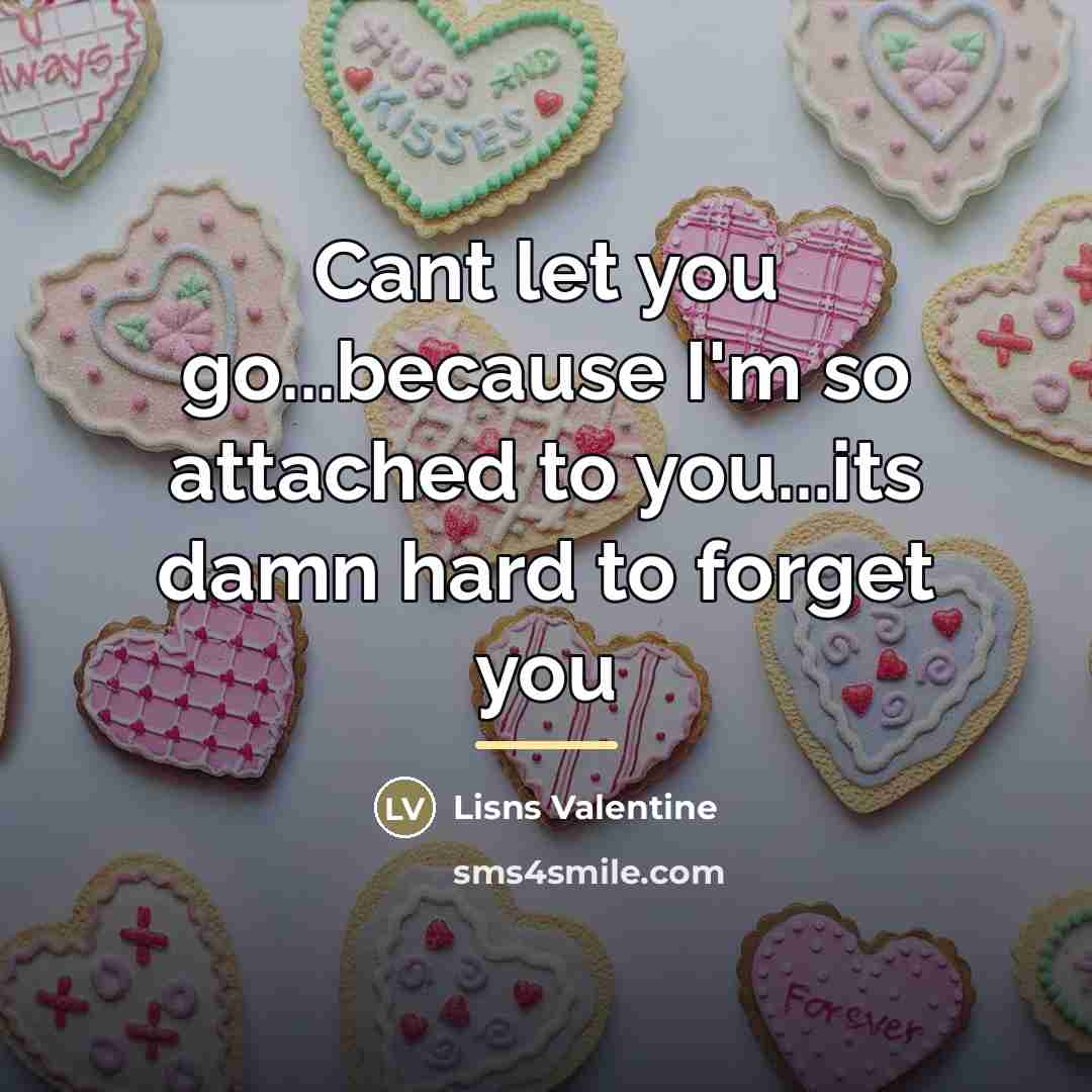 “Cant let you go...because I'm so attached to you...its damn…” quote by Lisns Valentine