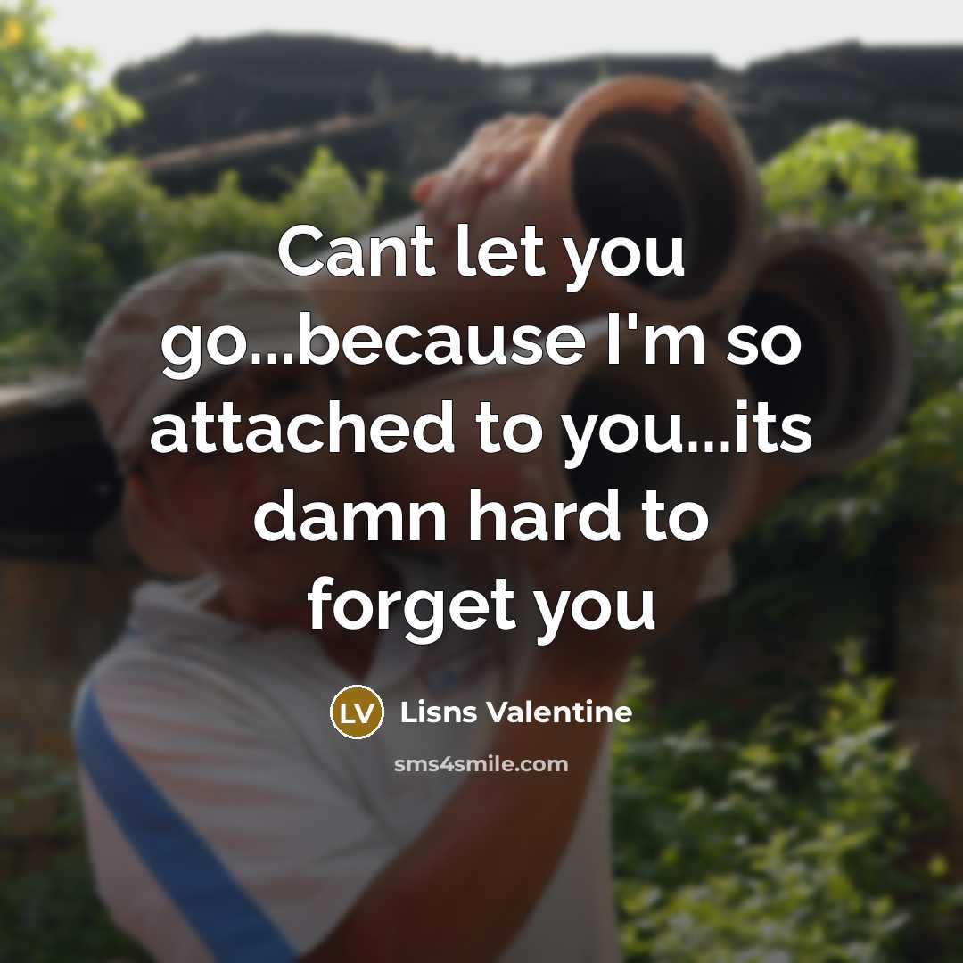 “Cant let you go...because I'm so attached to you...its damn hard to forget you” quote by Lisns Valentine