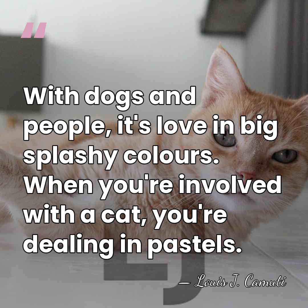 With dogs and people, it's love in big splashy colours. When you're&hellip; - Louis J. Camuti