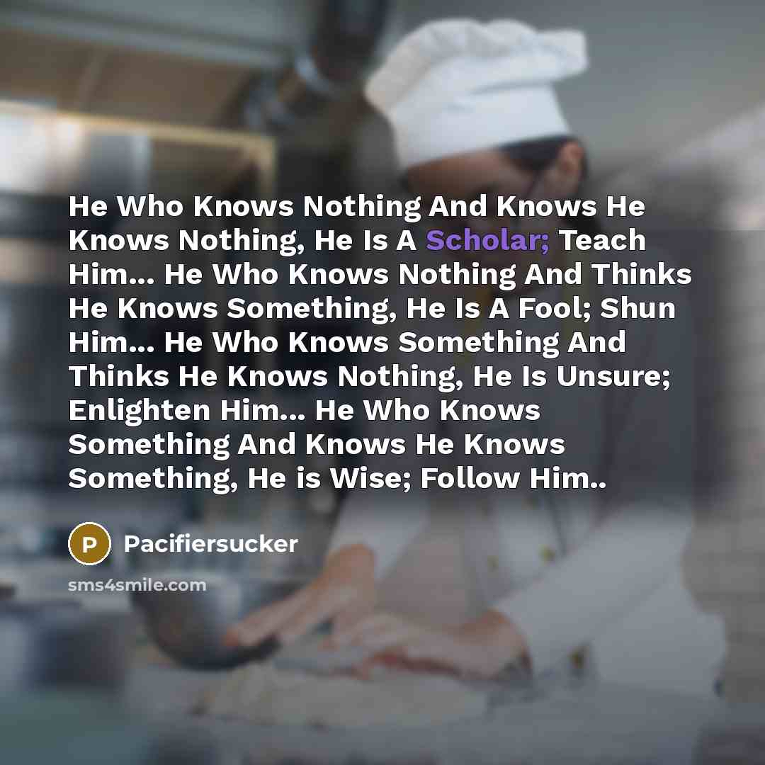 “He Who Knows Nothing And Knows He Knows Nothing, He…” quote by Pacifiersucker