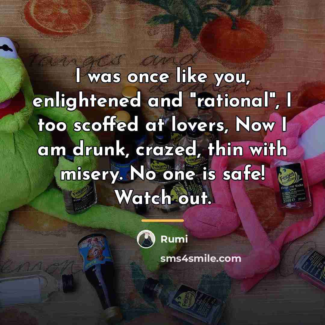 “I was once like you, enlightened and "rational", I too…” quote by Rumi