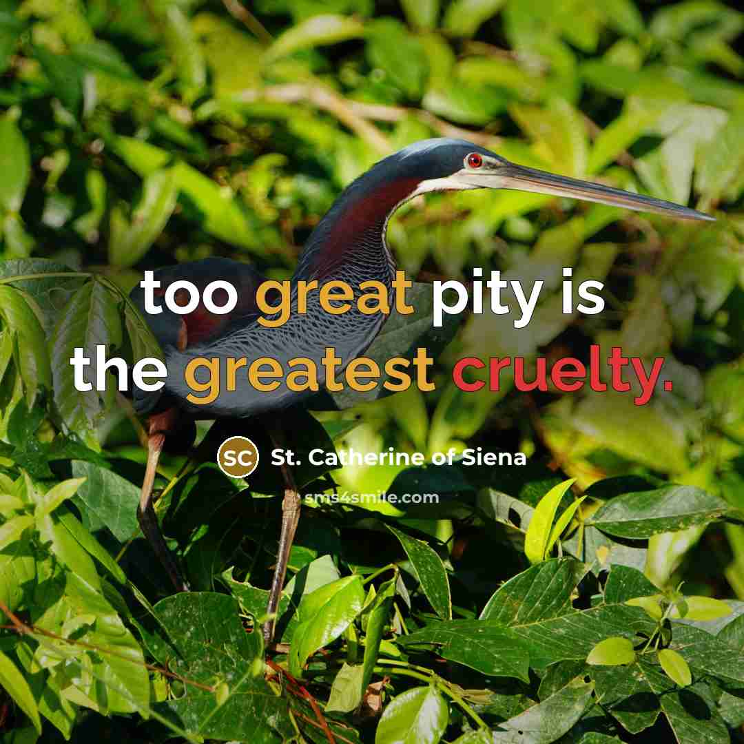 “too great pity is the greatest cruelty.…” quote by St. Catherine of Siena