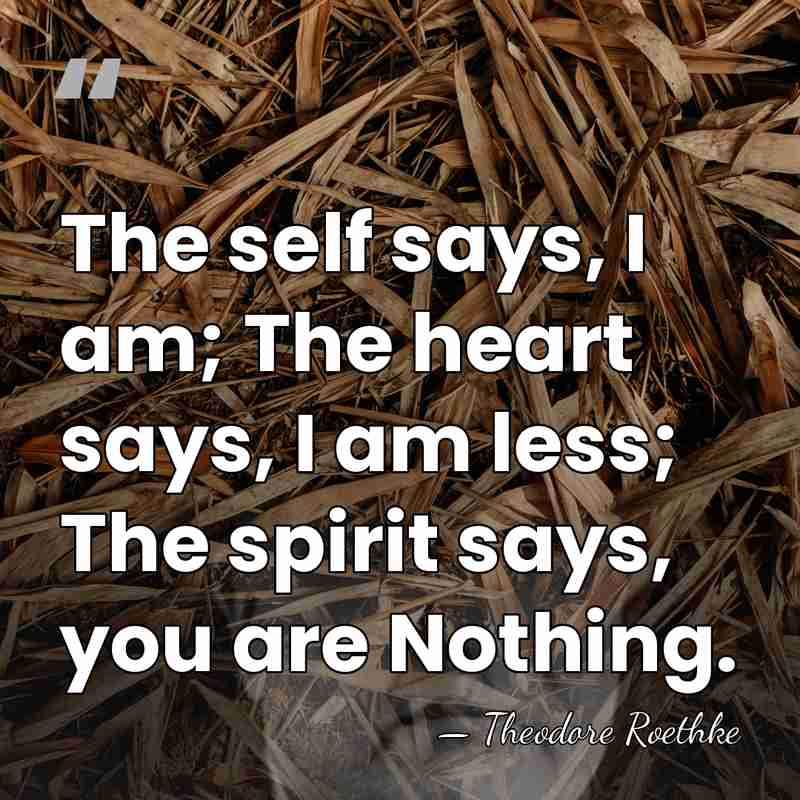 The self says, I am; The heart says, I am less; The&hellip; - Theodore Roethke