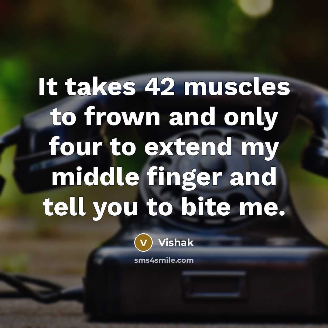 “It takes 42 muscles to frown and only four to…” quote by Vishak