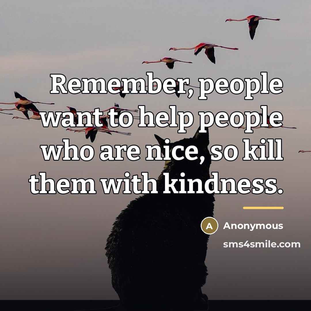 “Remember, people want to help people who are nice, so…” quote by Anonymous