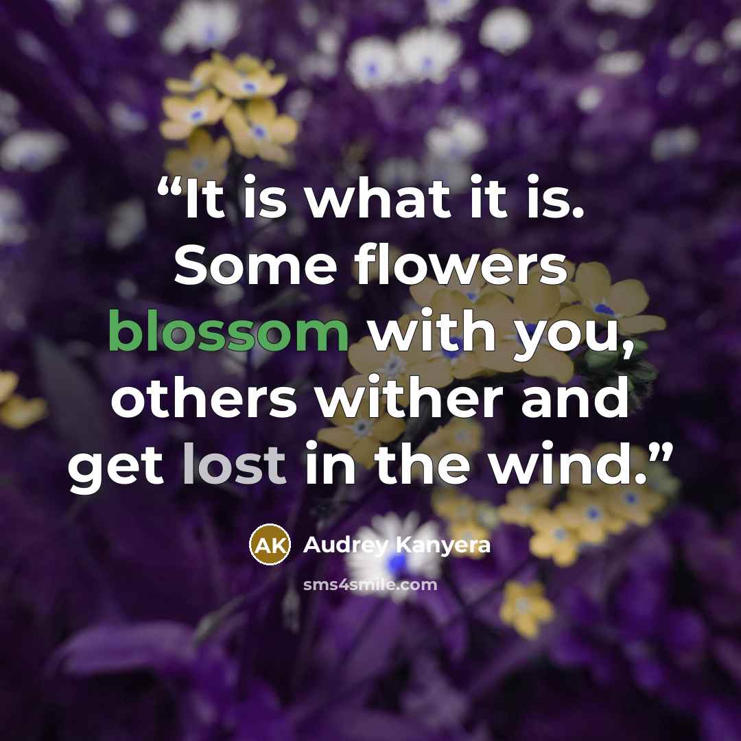 “It is what it is. Some flowers blossom with you, others wither and get lost in the wind.” quote by Audrey Kanyera