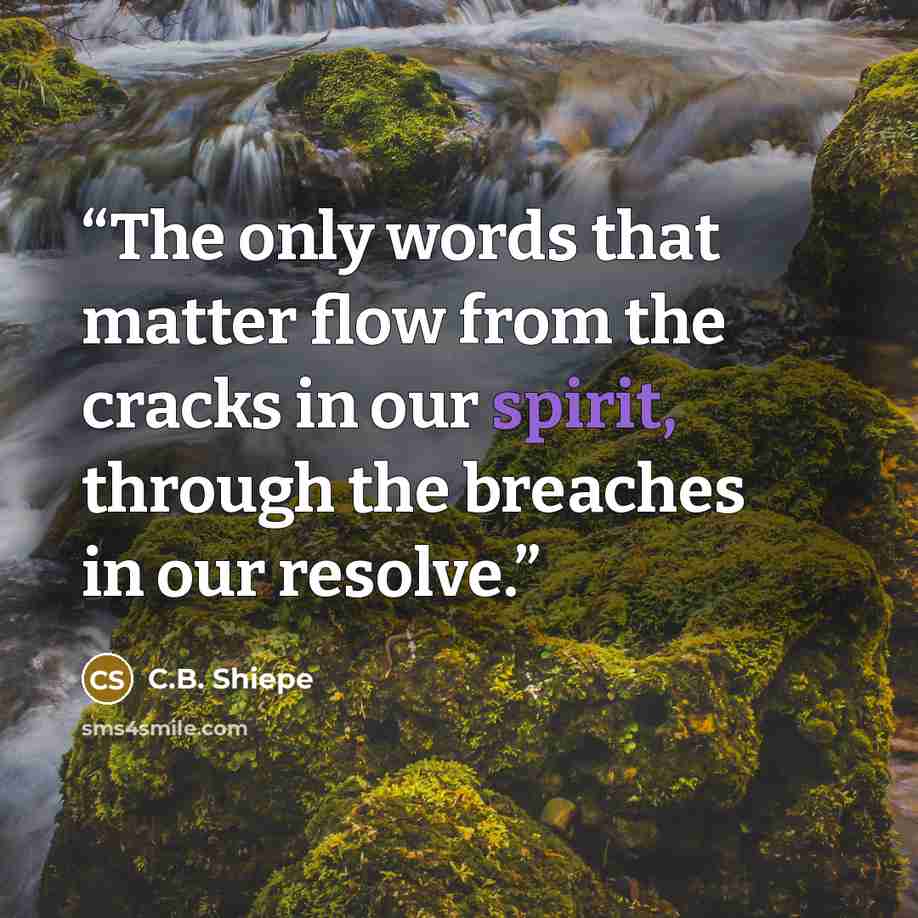 “The only words that matter flow from the cracks in our spirit, through the breaches in our resolve.” quote by C.B. Shiepe